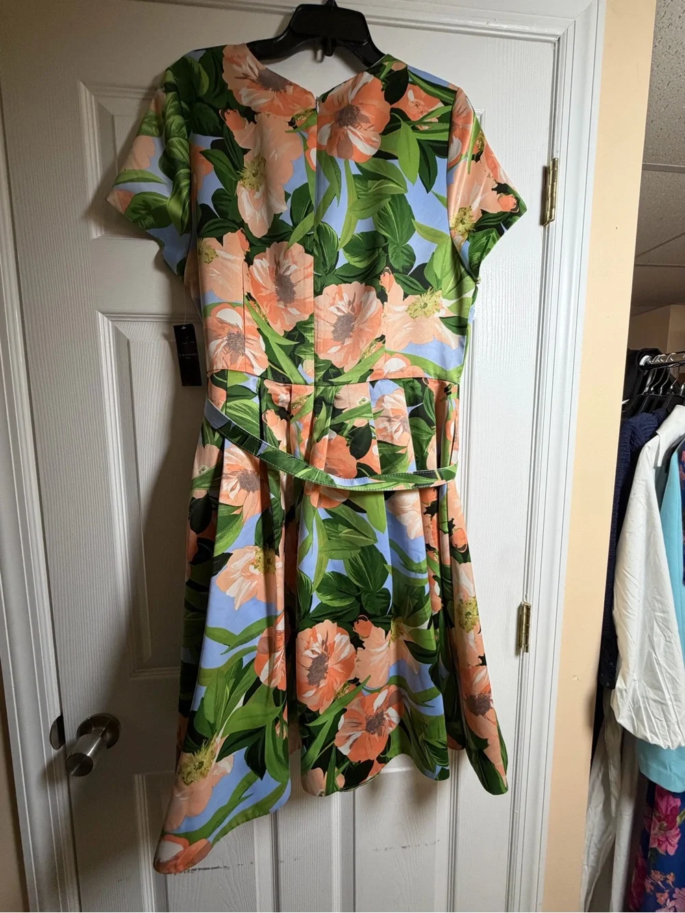 Tahari ASL Floral Belted Fit & Flare Pleated Dress Size 16 NWT - Picture 8 of 14
